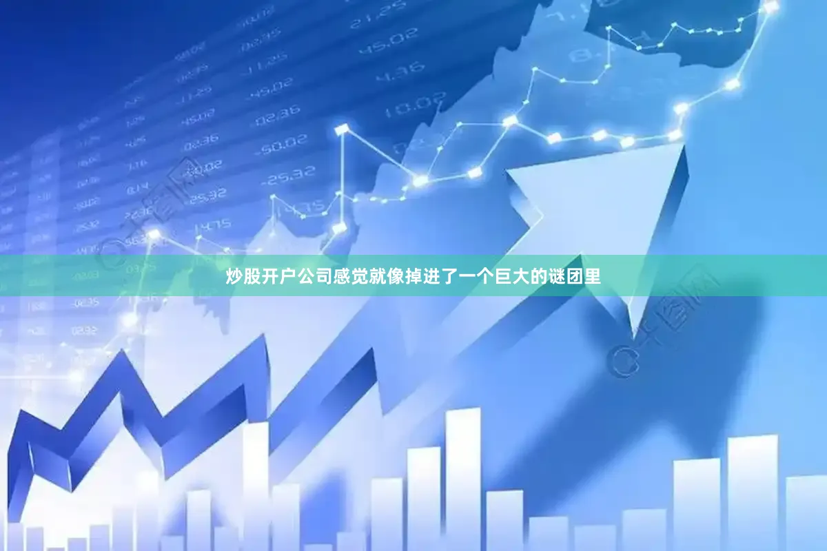 炒股开户公司感觉就像掉进了一个巨大的谜团里
